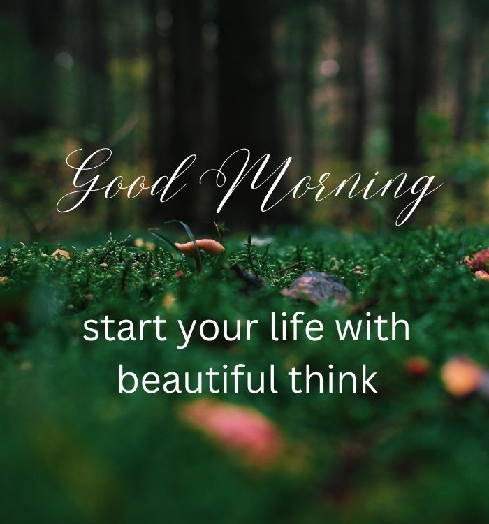 green view and good morning vibes image