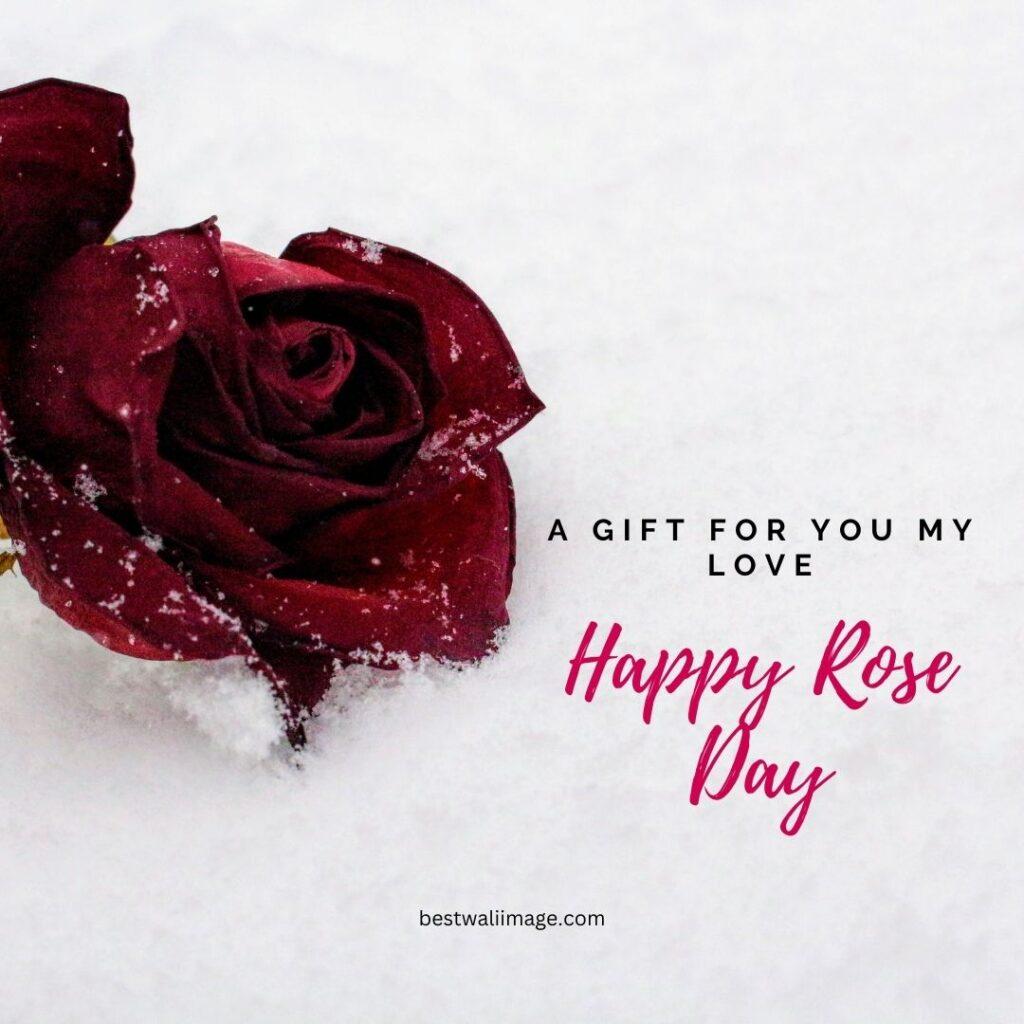 Happy Rose Day image
