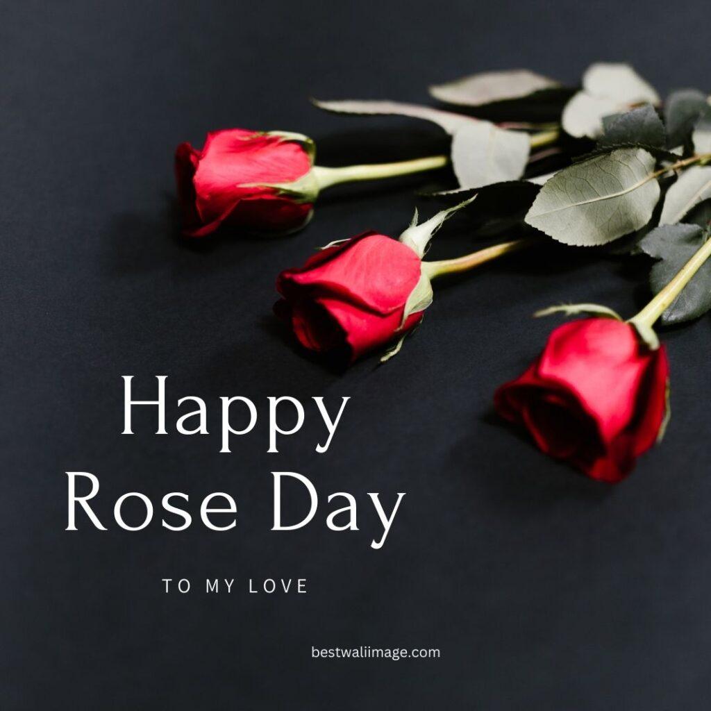 Happy Rose Day image with three roses