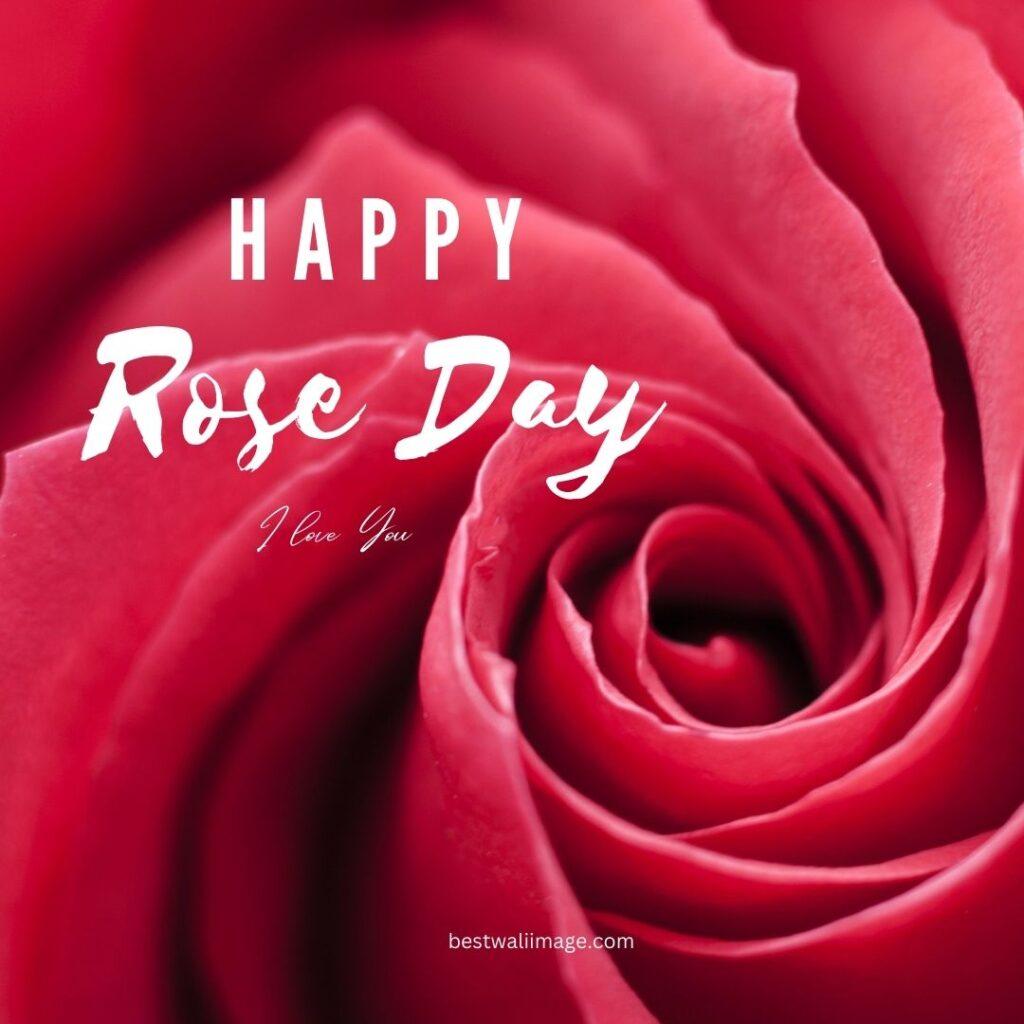 Happy Rose Day image with pink rose