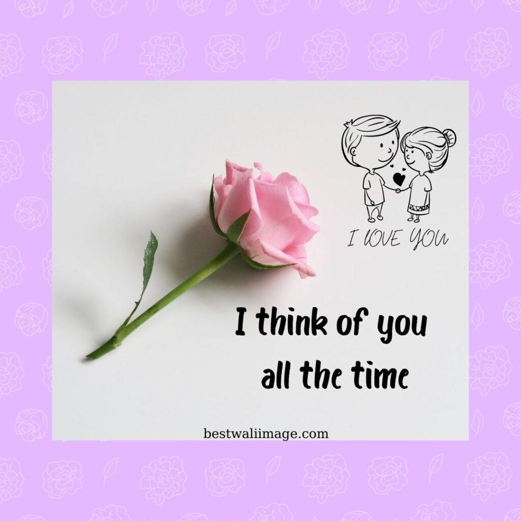 beautiful pink rose Love image with quote with couple