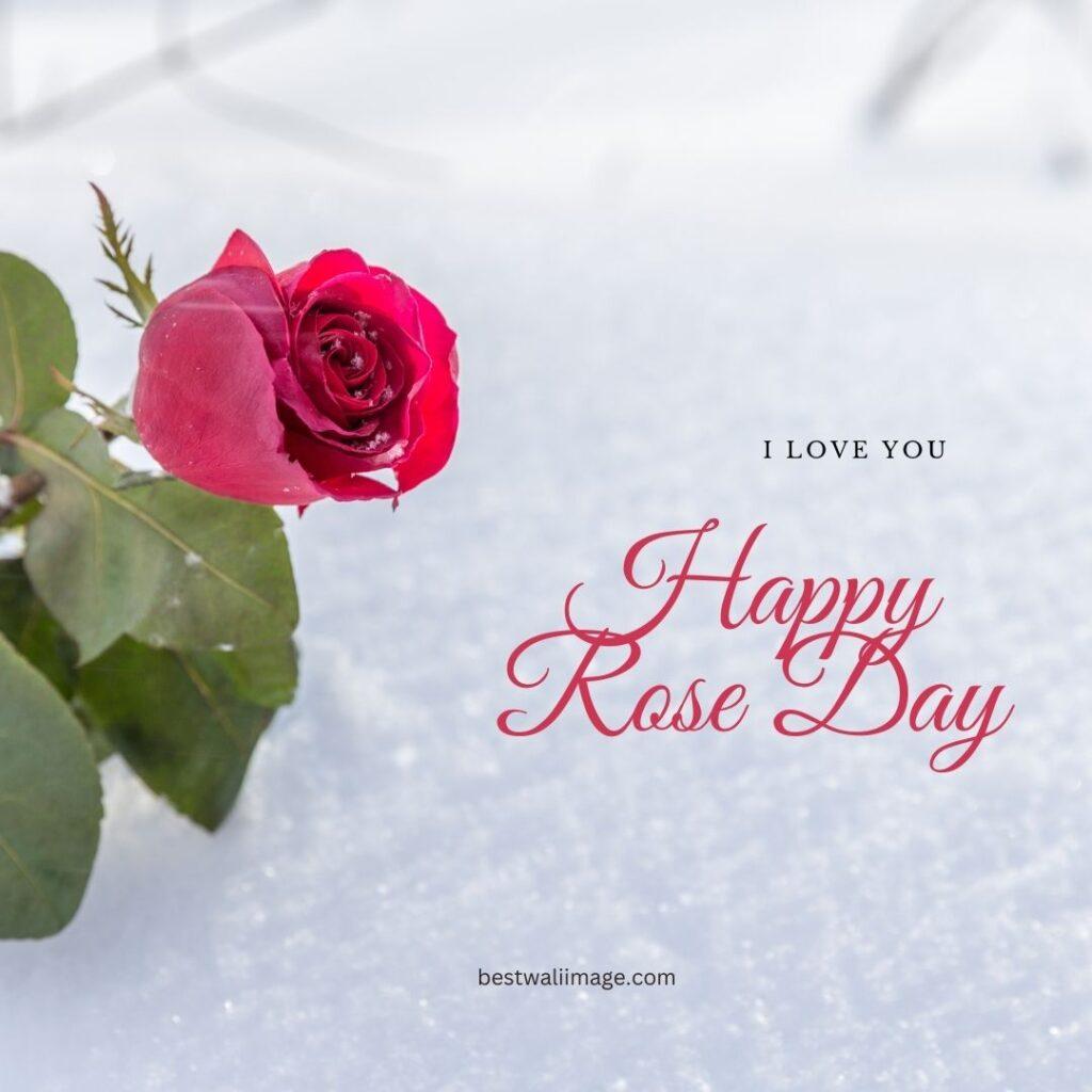 Happy Rose Day image with snow and red rose