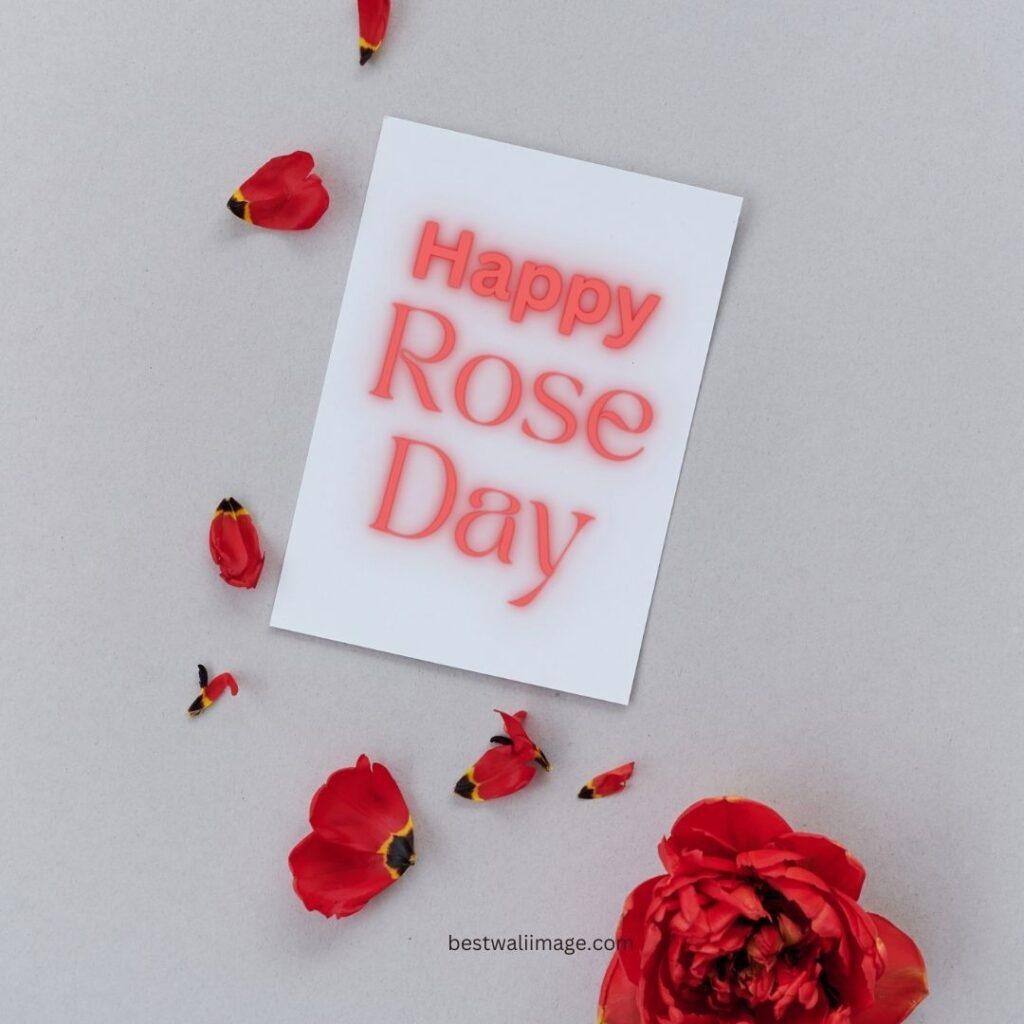 Happy Rose Day with rose