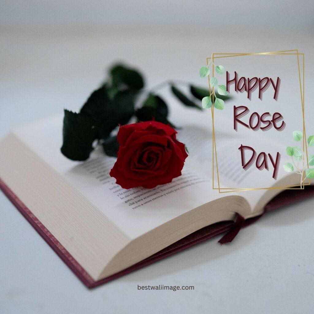 Happy Rose Day with red rose on book.