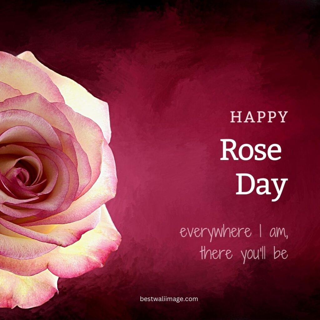 Happy Rose Day with pink rose