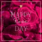 Happy Rose Day with red roses
