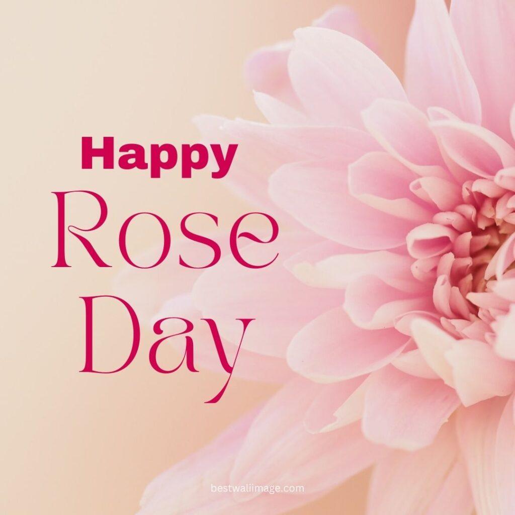 Happy Rose Day with beautiful flowers