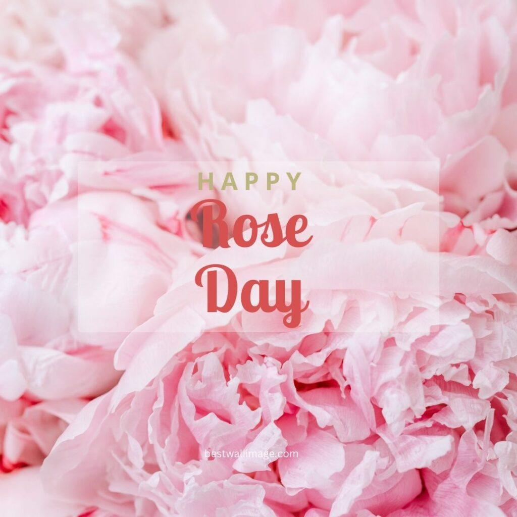 Happy Rose Day with pink roes
