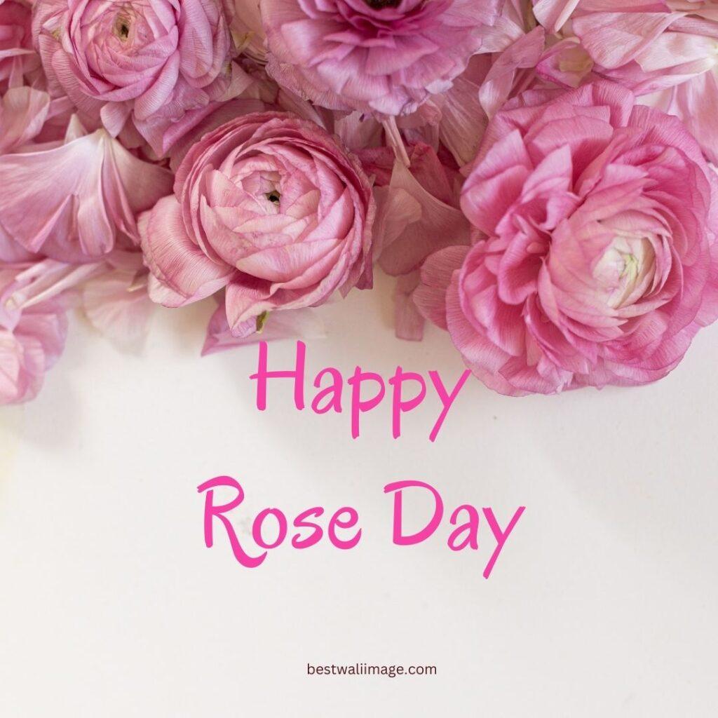 Happy Rose Day with pink roses