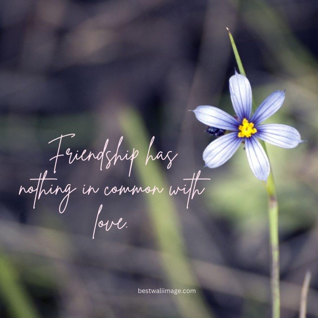 Friendship has nothing in common with love