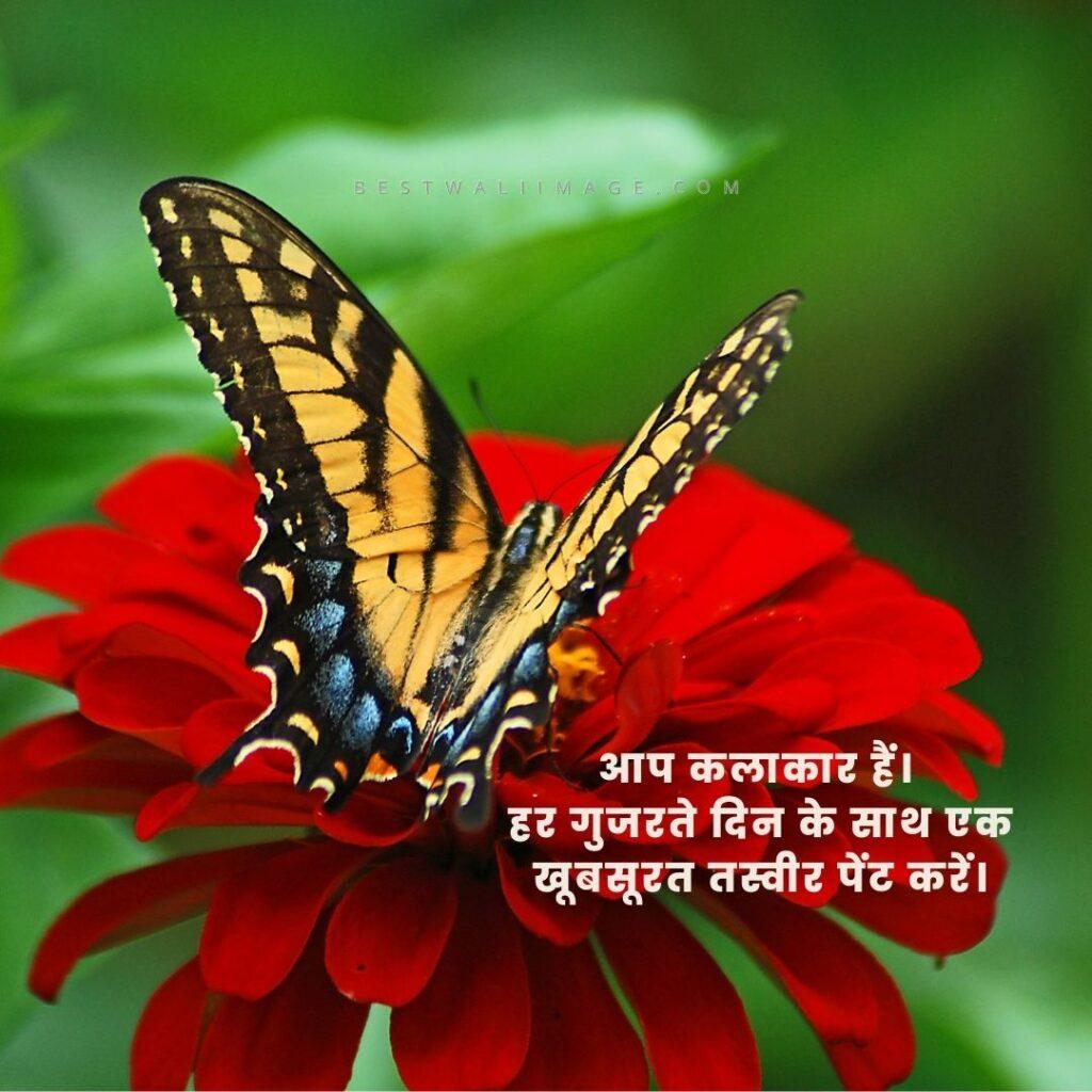 A beautiful butterfly sitting on a red flower with an inspirational quote.