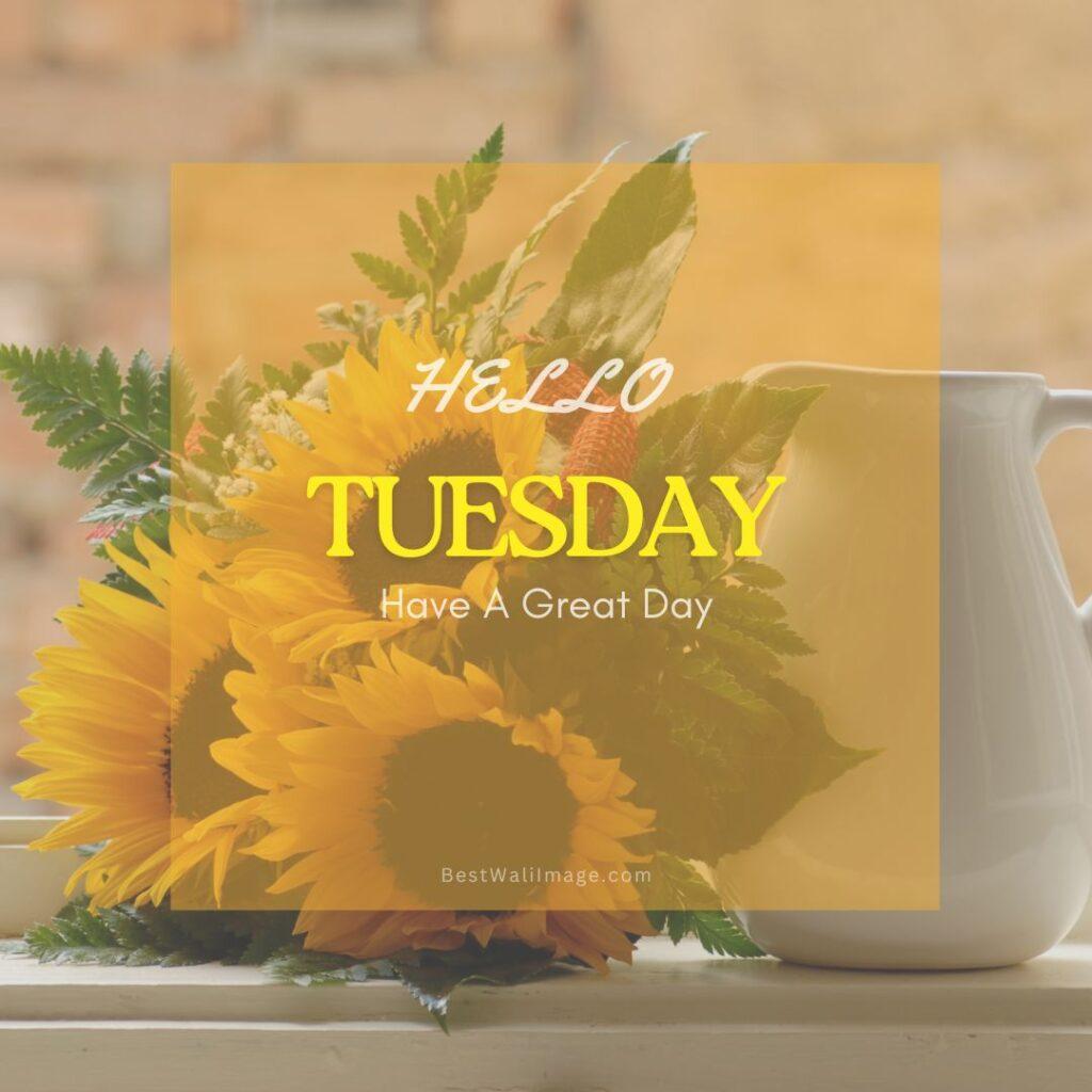 Hello Tuesday